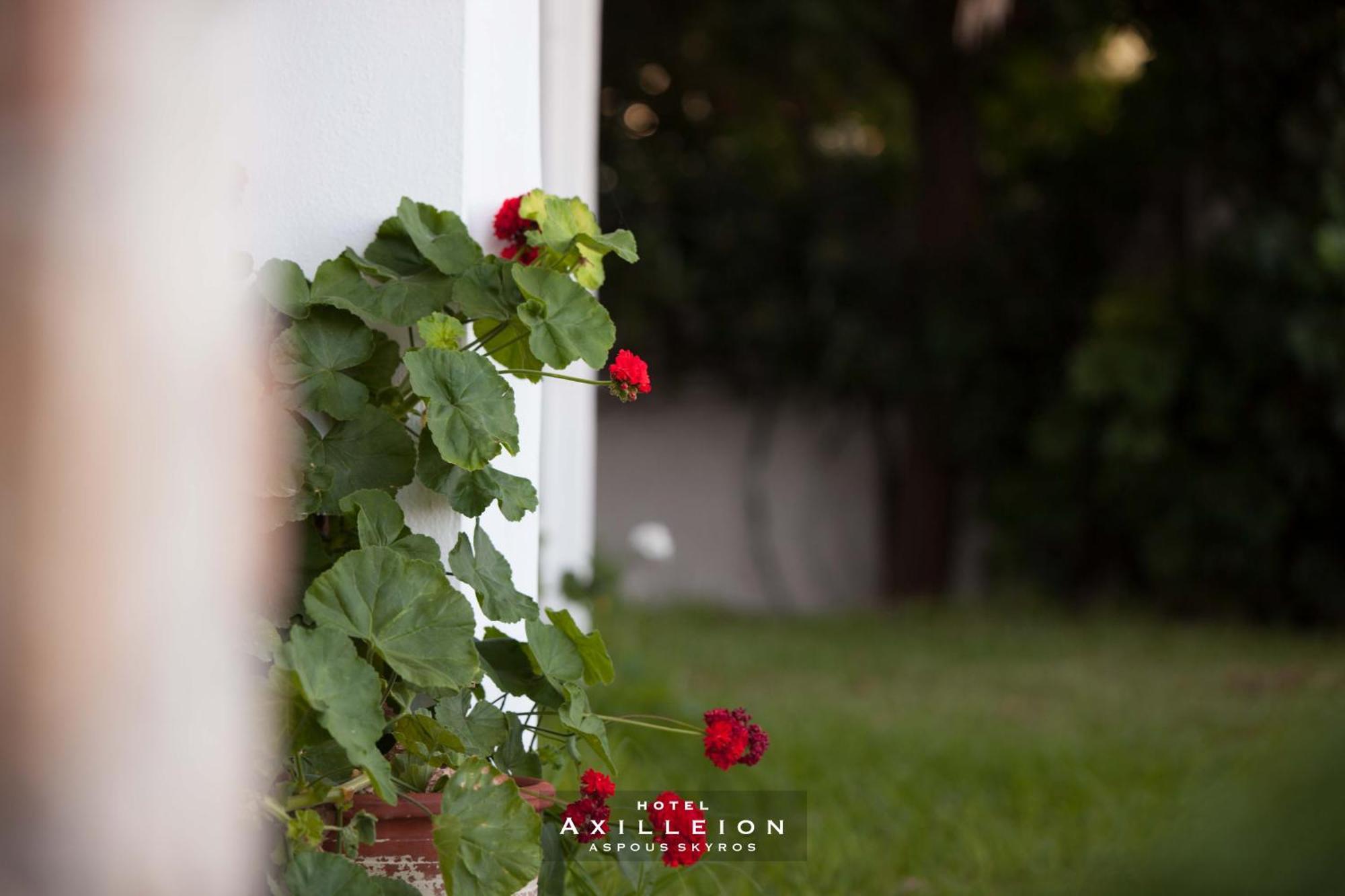 Achilleion Hotel Skyros Esterno foto