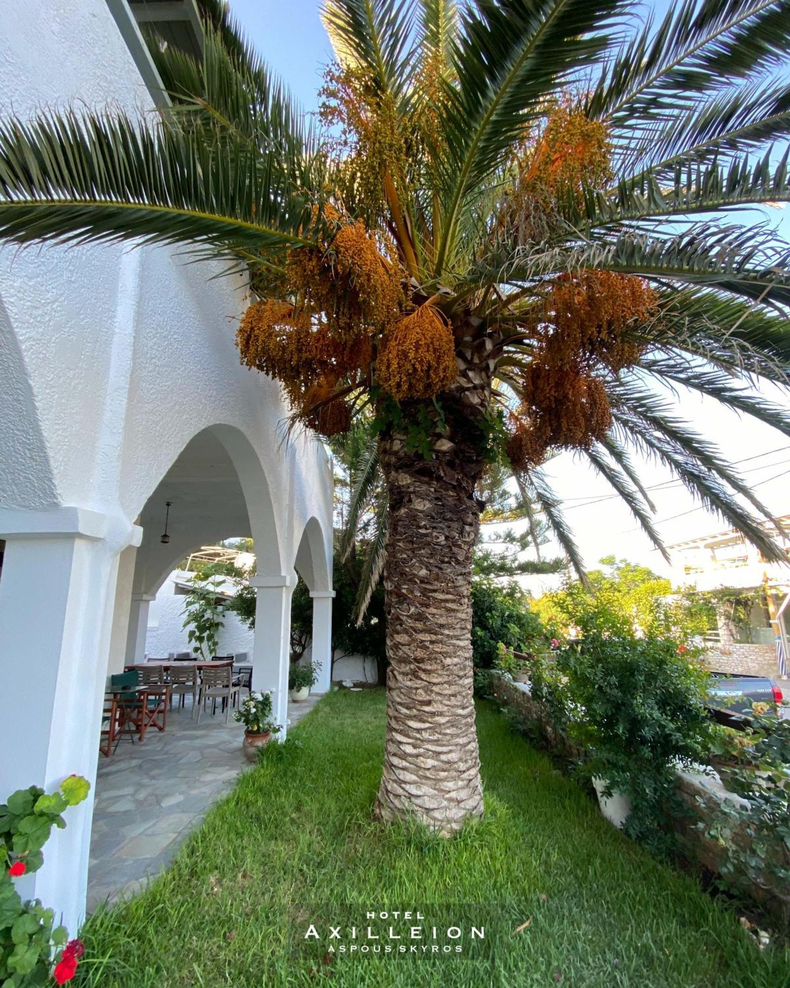 Achilleion Hotel Skyros Esterno foto